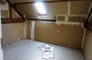 Traditional House with Income Potential and Garden