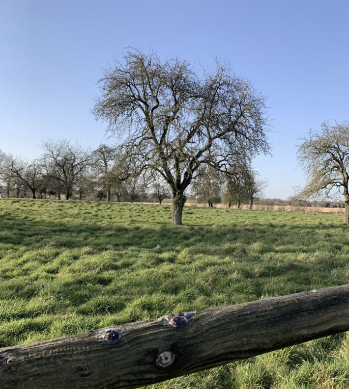 Beautiful Country House with Land and Huge Potential