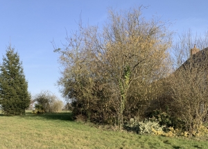 Beautiful Country House with Land and Huge Potential