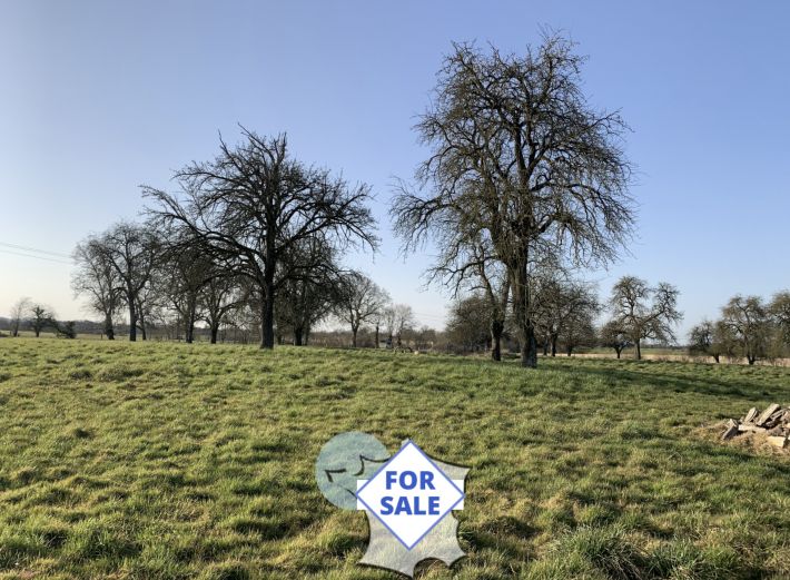 Beautiful Country House with Land and Huge Potential