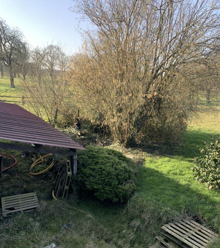 Beautiful Country House with Land and Huge Potential