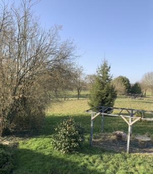 Beautiful Country House with Land and Huge Potential