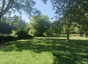 Former Farmhouse in Glorious Grounds and Countryside
