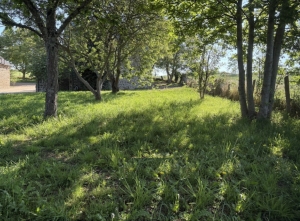 Detached Country House with No Neighbours