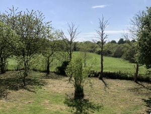 Detached Country House with No Neighbours