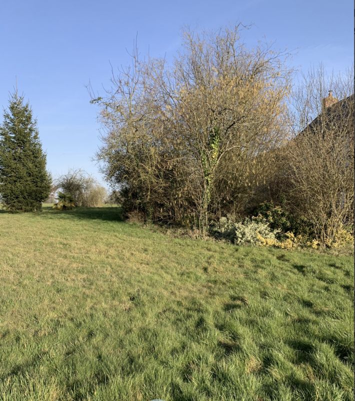 Detached Country House with Outbuildings and Land