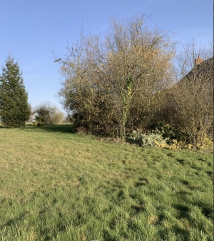 Detached Country House with Outbuildings and Land