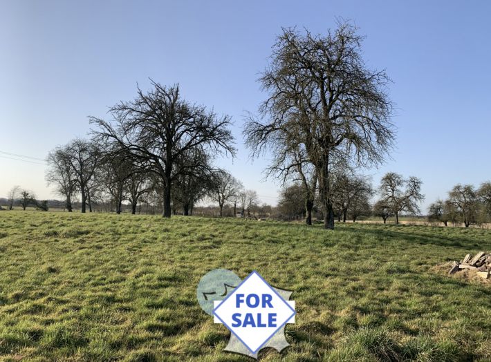 Detached Country House with Outbuildings and Land