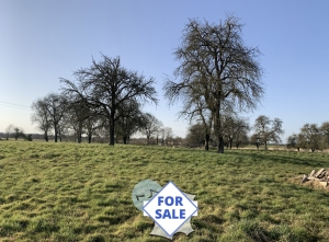 Detached Country House with Outbuildings and Land