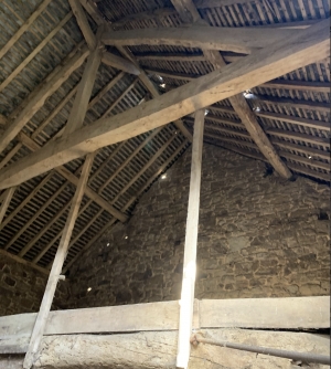 Detached Country House with Outbuildings and Land