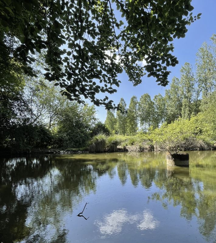 Leisure Land with Fishing Lake and Woodland