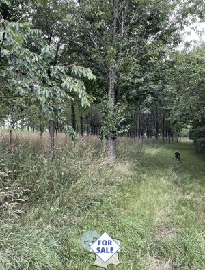 Former Farmhouse and Detached Longere with Land