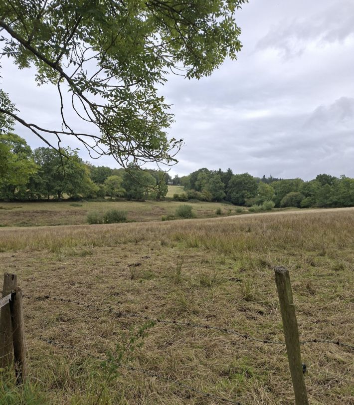 Detached Longere House with Outbuildings