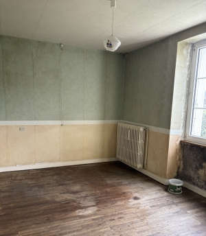 Habitable Village House with Garden