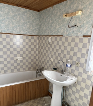 Habitable Village House with Garden