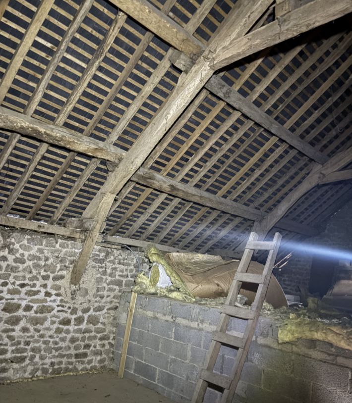 Habitable Village House with Garden