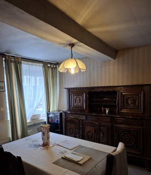 Habitable Village House with Small Garden