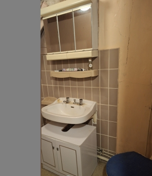 Habitable Village House with Small Garden