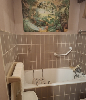 Habitable Village House with Small Garden