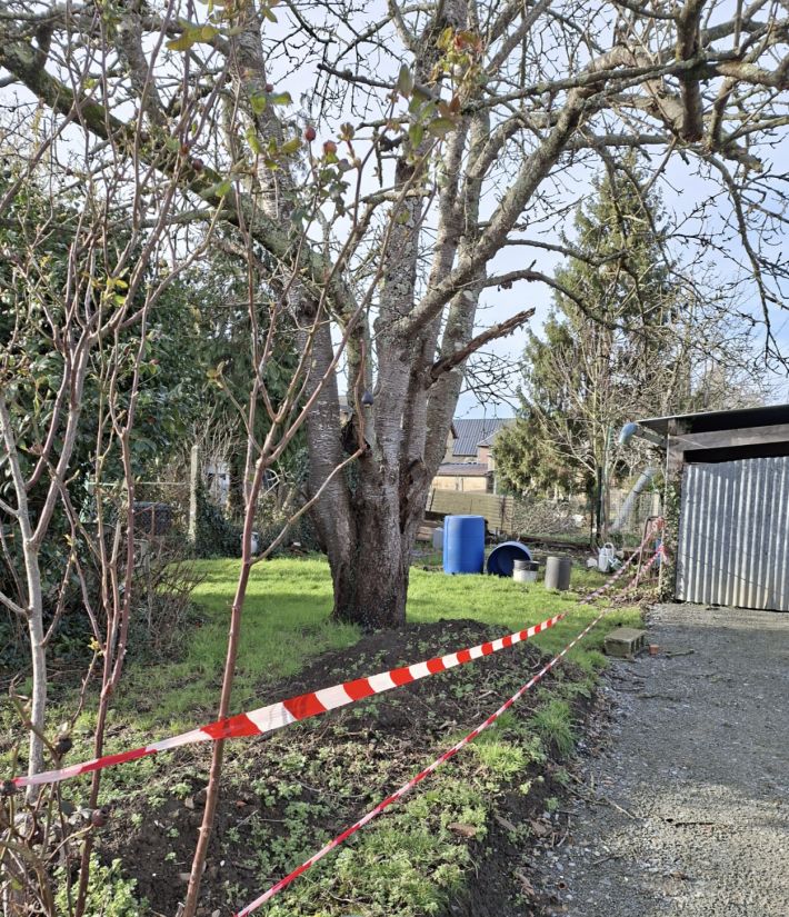 Habitable Village House with Small Garden