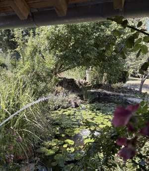 Detached Countryside Longere in Lovely Grounds