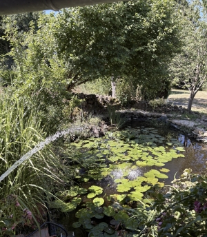 Detached Countryside Longere in Lovely Grounds