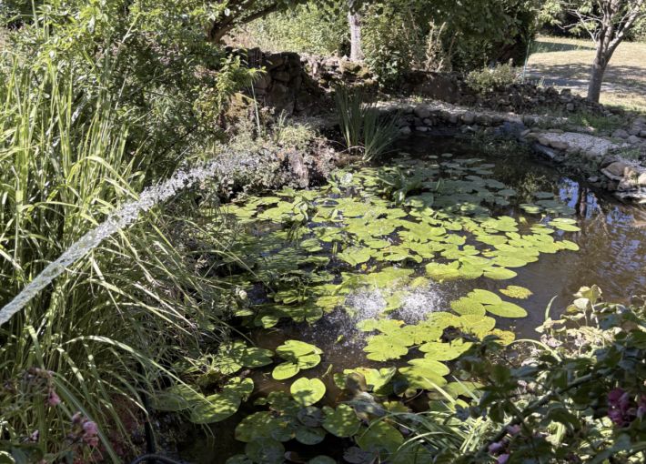 Detached Countryside Longere in Lovely Grounds