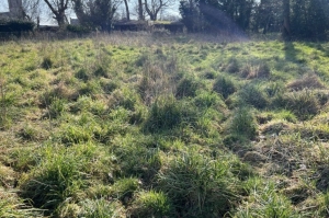 Almost one Acre of Building Land For Sale