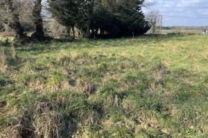 Almost one Acre of Building Land For Sale