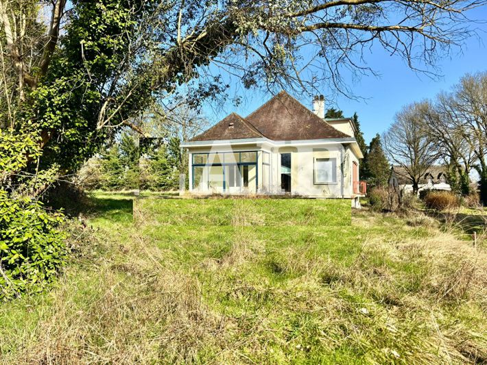 Large Detached House with Lovely Mature Garden