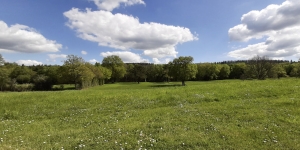 Detached Country House with Open Views