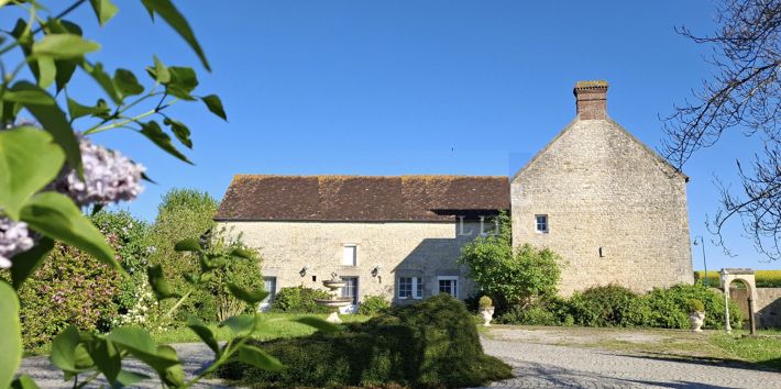 Detached Country House with Many Features