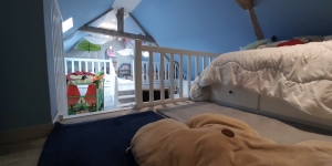 Detached Country House with Many Features