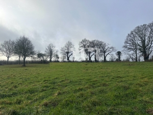 Detached Country House with Outbuilding