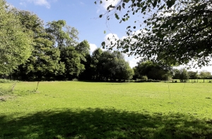 Detached Country House in 1,7 Hectares with Open Views