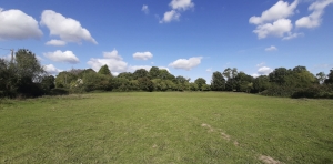 Detached Country House in 1,7 Hectares with Open Views