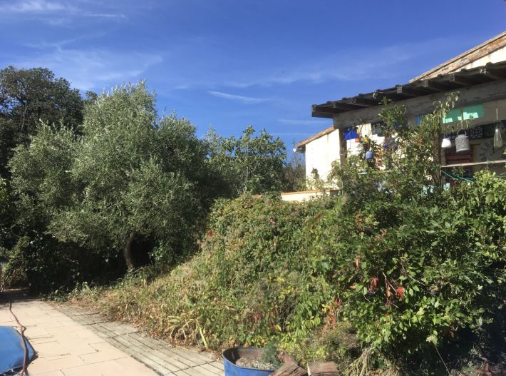 Villa with Pool in Green Peaceful Environment