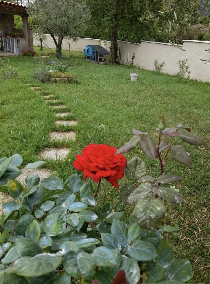 Modern Detached Villa with Mature garden with Open Views