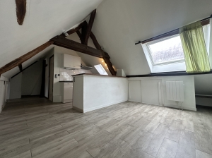 Lovely Apartment in Good Order