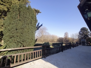 Beautiful Detached House with Garden