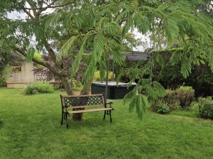Traditional Detached House with Garden and Pool