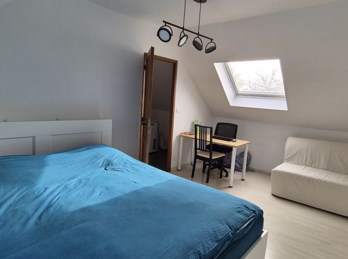 Traditional Detached House with Garden and Pool