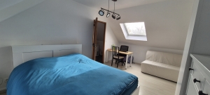 Traditional Detached House with Garden and Pool