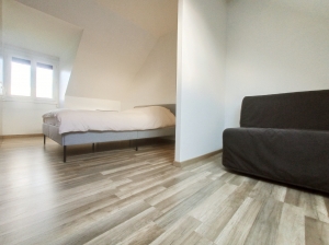 Traditional Detached House with Garden and Pool