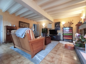 Detached Country House with Guest Gite Cottage