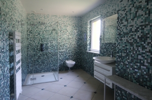 Main House, Guest Gite, Pool, Lake and Much More