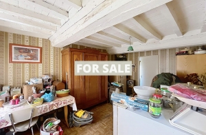 Detached Country House with Outbuilding