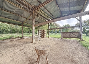 Detached Country House with Outbuilding