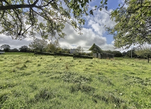 Detached Country House with Outbuilding