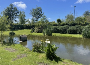 Manor House with Pool and Parkland Gardens